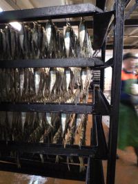Природоохранной прокуратурой в отношении ООО «Новоладожская рыбная компания» проведена проверка исполнения требований законодательства
