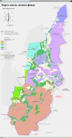Карта земель лесного фонда_поселение